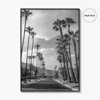 Palm Springs Black and White Fine Art Photo Print, Coachella Valley Poster