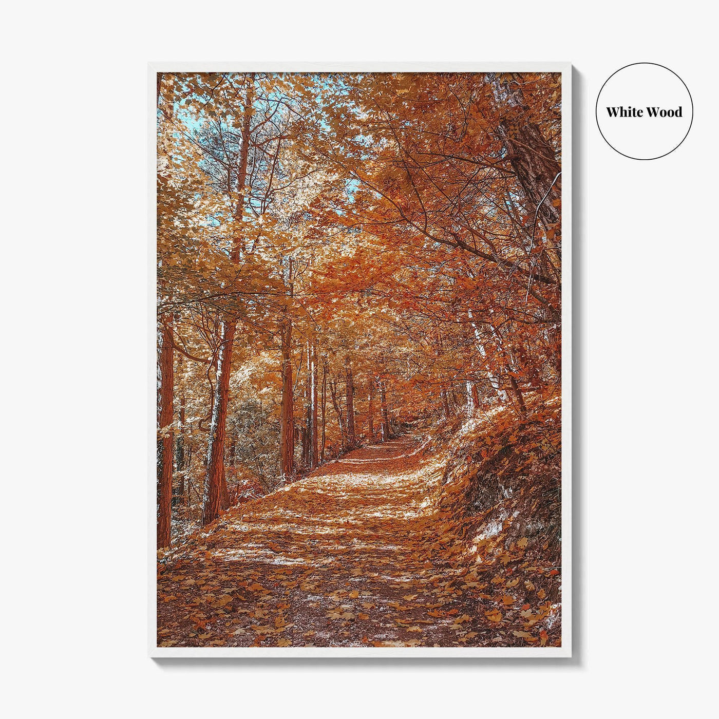 Tampa Mountain Fine Art Photo Print, Brasov Romania Poster, Transylvania Wall Art