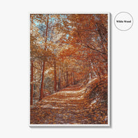 Tampa Mountain Fine Art Photo Print, Brasov Romania Poster, Transylvania Wall Art
