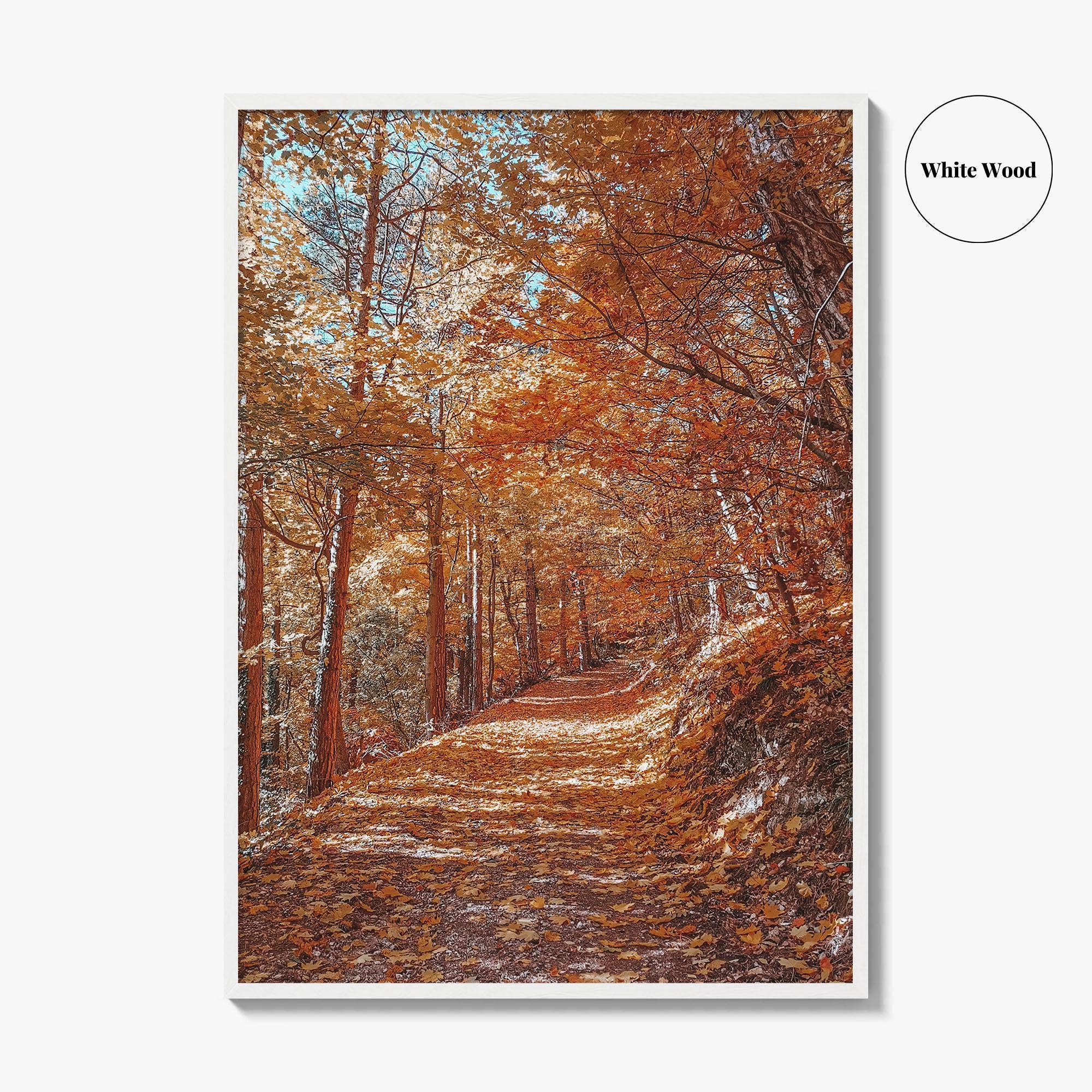 Tampa Mountain Fine Art Photo Print, Brasov Romania Poster, Transylvania Wall Art