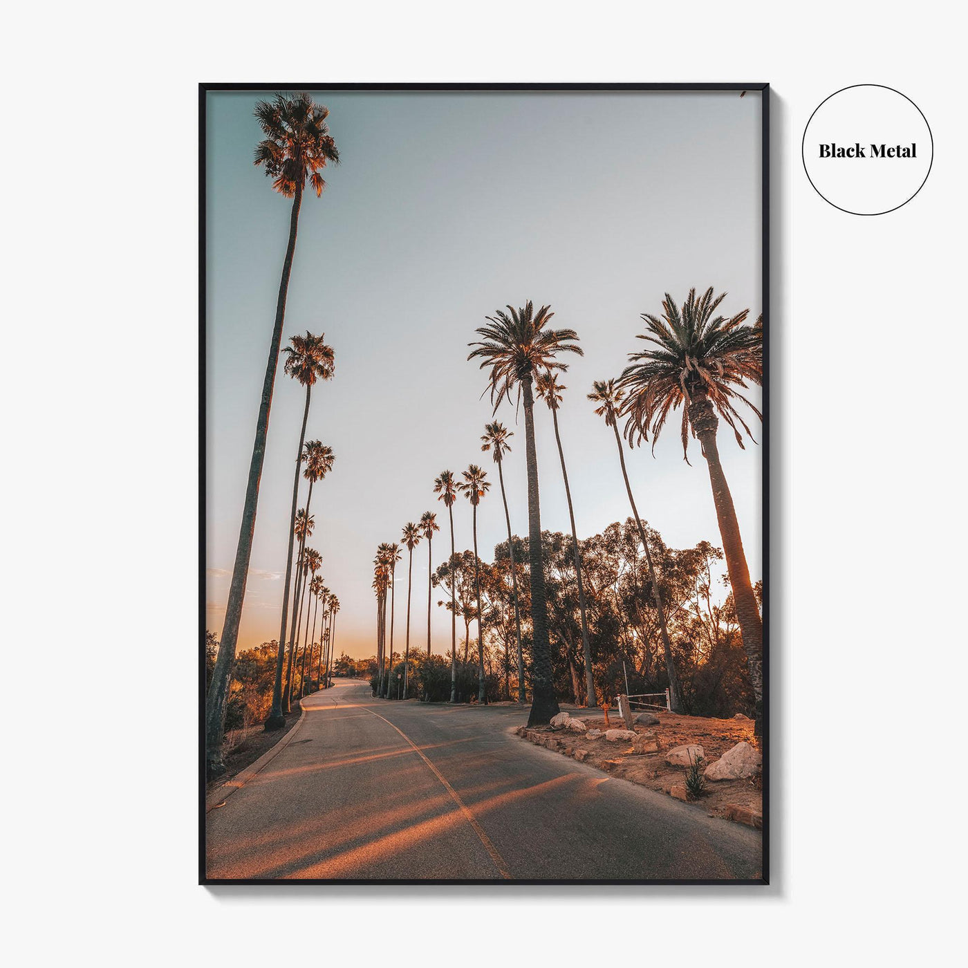 Los Angeles Fine Art Photo Print, Elysian Park, Palm Trees, California Wall Decor