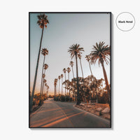 Los Angeles Fine Art Photo Print, Elysian Park, Palm Trees, California Wall Decor