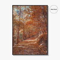 Tampa Mountain Fine Art Photo Print, Brasov Romania Poster, Transylvania Wall Art