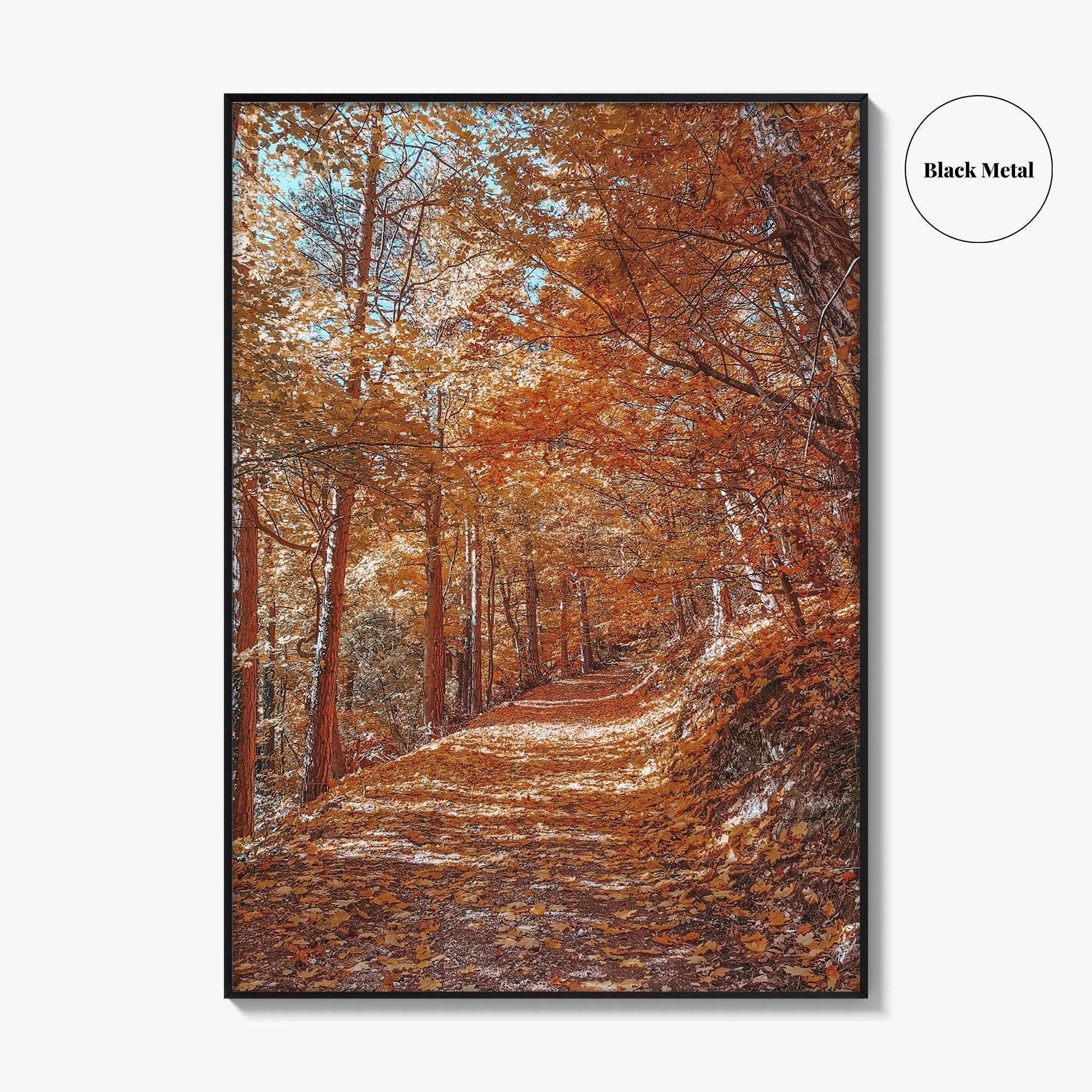 Tampa Mountain Fine Art Photo Print, Brasov Romania Poster, Transylvania Wall Art