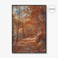 Tampa Mountain Fine Art Photo Print, Brasov Romania Poster, Transylvania Wall Art