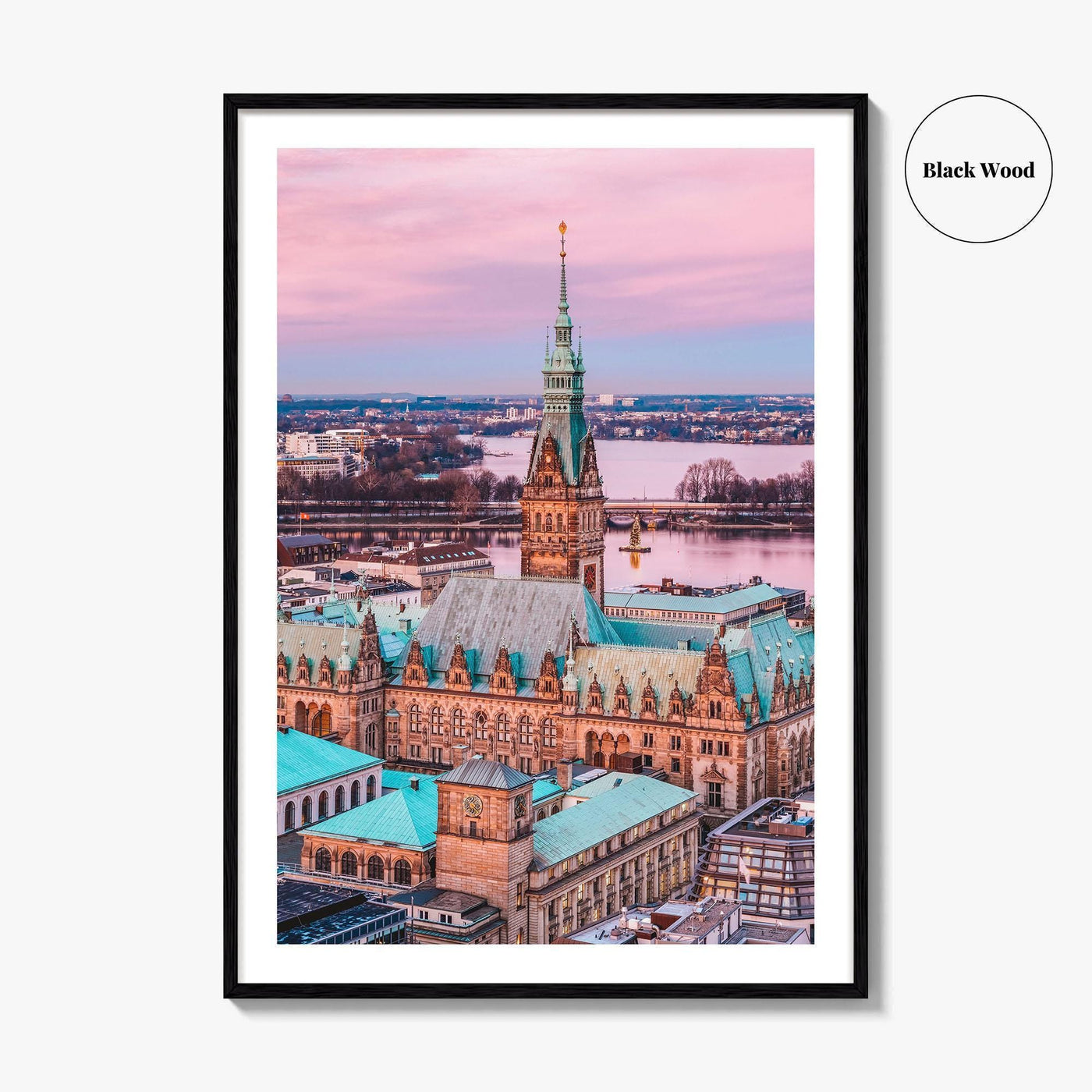 Hamburg Skyline Fine Art Photo Print, Germany, Rathaus, Alster Lake, Poster
