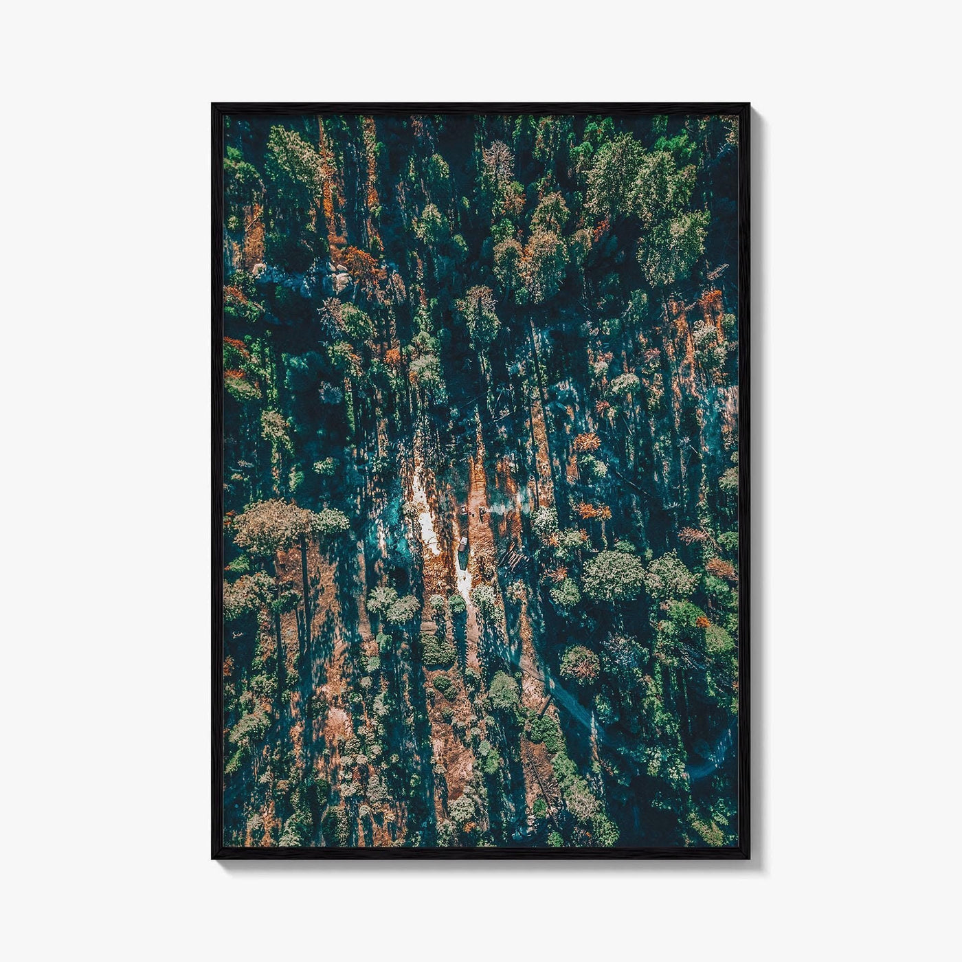 Sequoia National Park Fine Art Photo Print, California Wall Decor Poster, Aerial Forest USA