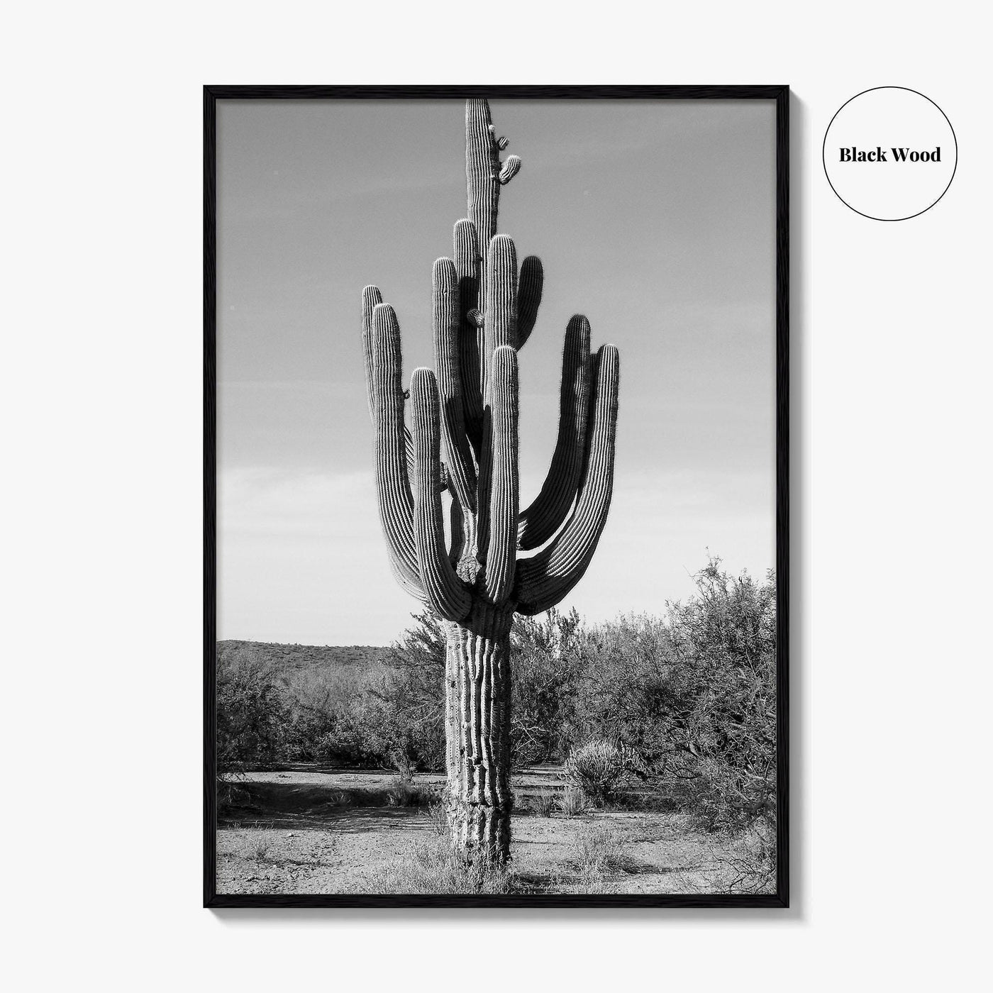 Mesa Arizona Black and White Fine Art Photo Print, Salt River, Phoenix, Saguaro Poster
