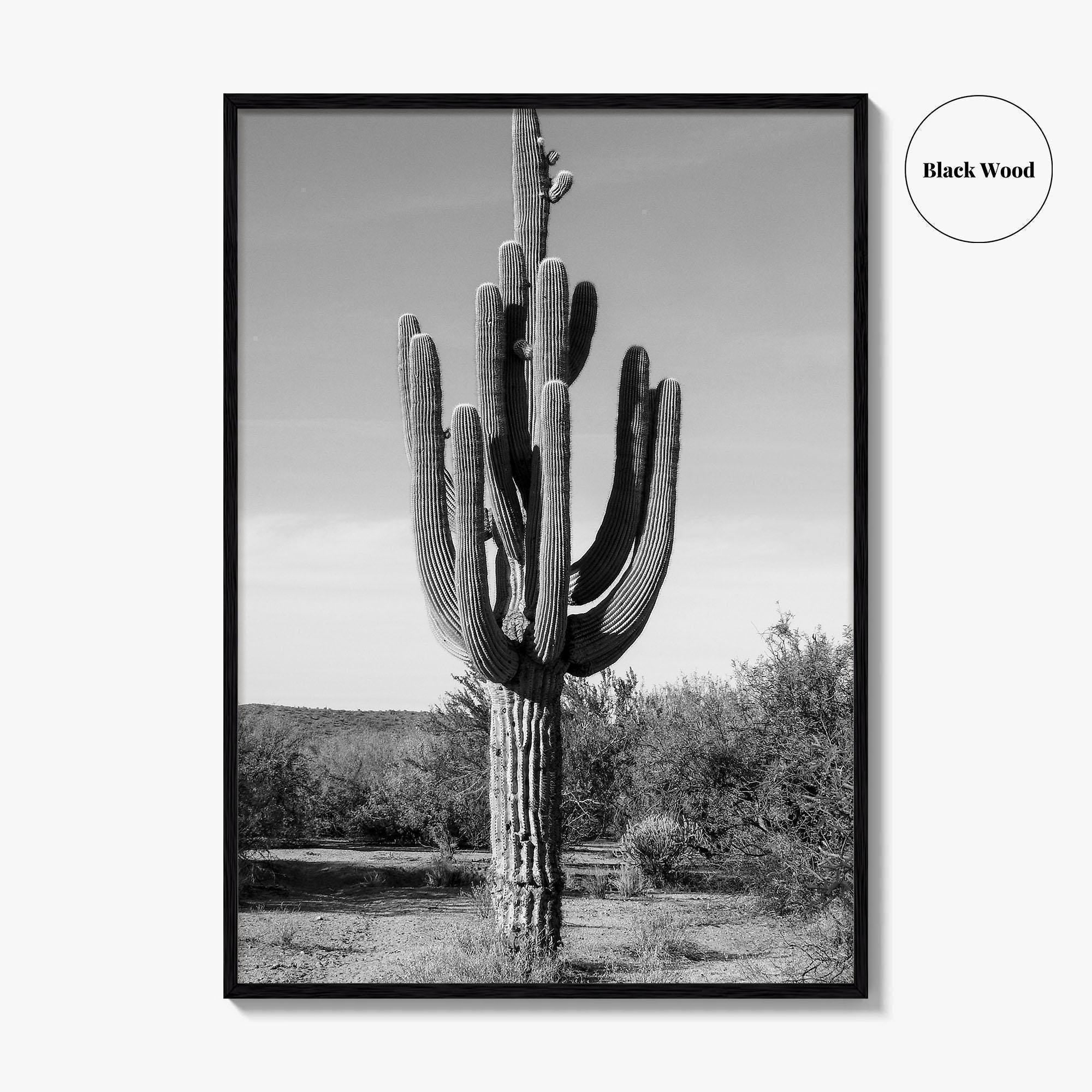 Mesa Arizona Black and White Fine Art Photo Print, Salt River, Phoenix, Saguaro Poster