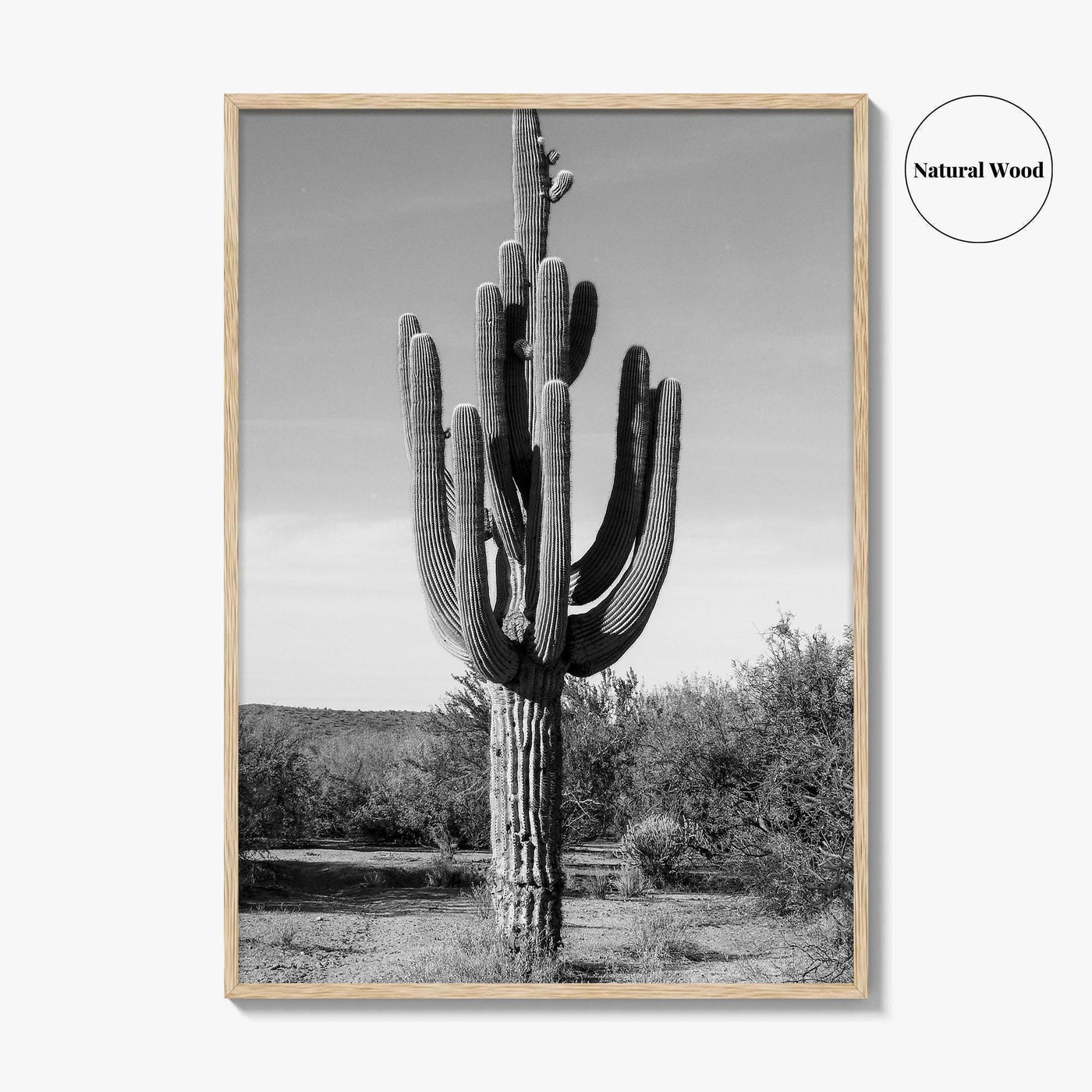 Mesa Arizona Black and White Fine Art Photo Print, Salt River, Phoenix, Saguaro Poster