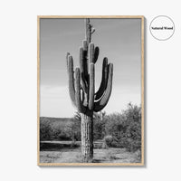 Mesa Arizona Black and White Fine Art Photo Print, Salt River, Phoenix, Saguaro Poster