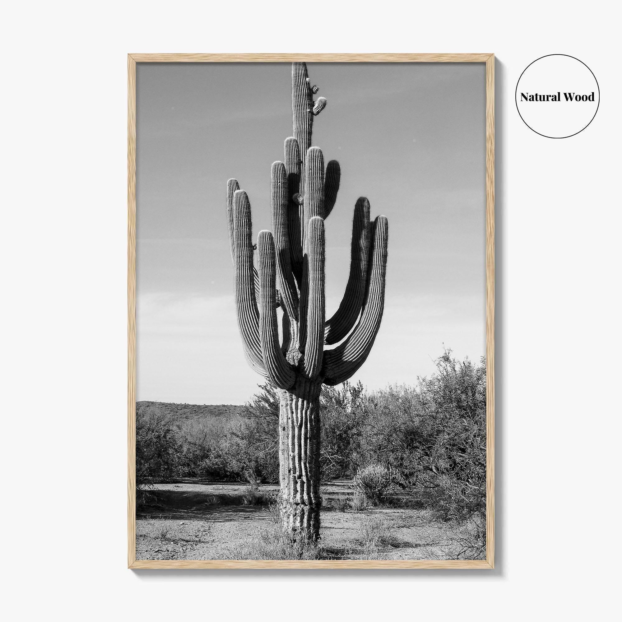 Mesa Arizona Black and White Fine Art Photo Print, Salt River, Phoenix, Saguaro Poster
