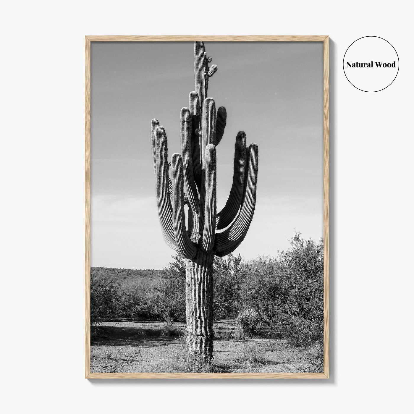 Mesa Arizona Black and White Fine Art Photo Print, Salt River, Phoenix, Saguaro Poster