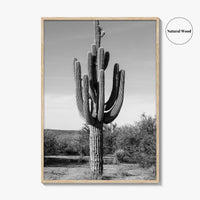Mesa Arizona Black and White Fine Art Photo Print, Salt River, Phoenix, Saguaro Poster