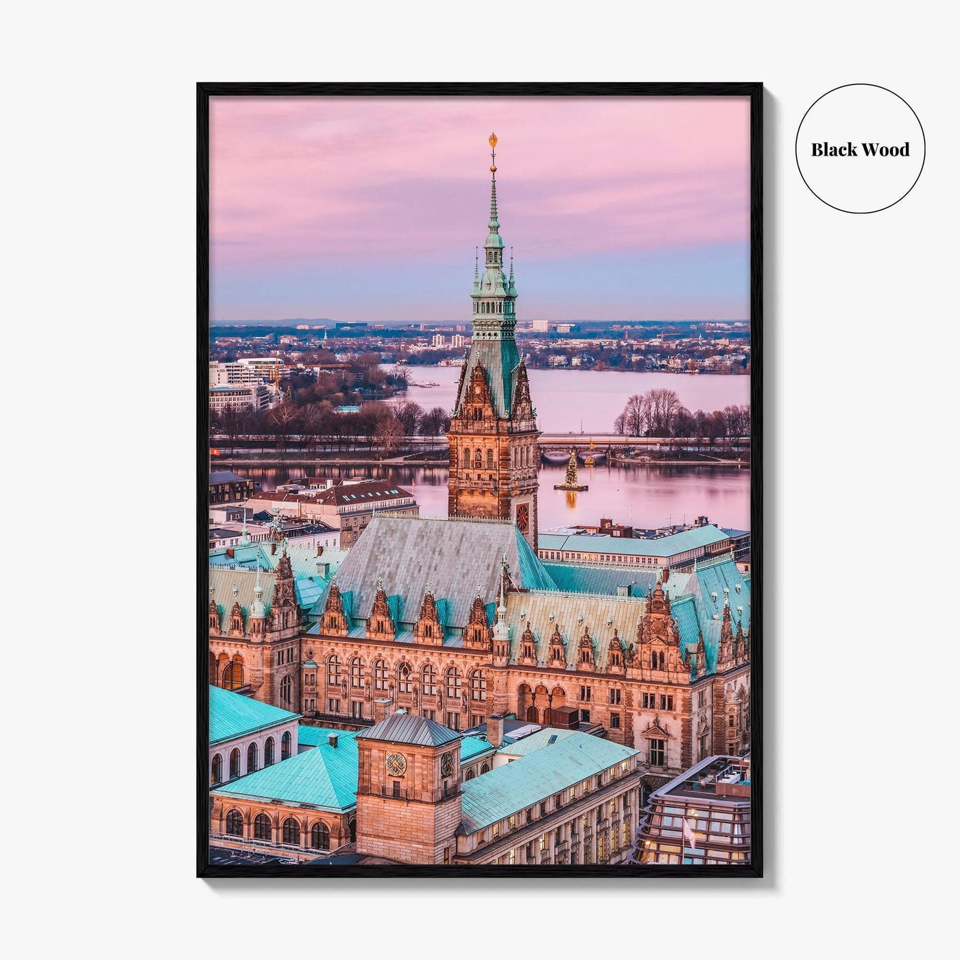 Hamburg Skyline Fine Art Photo Print, Germany, Rathaus, Alster Lake, Poster