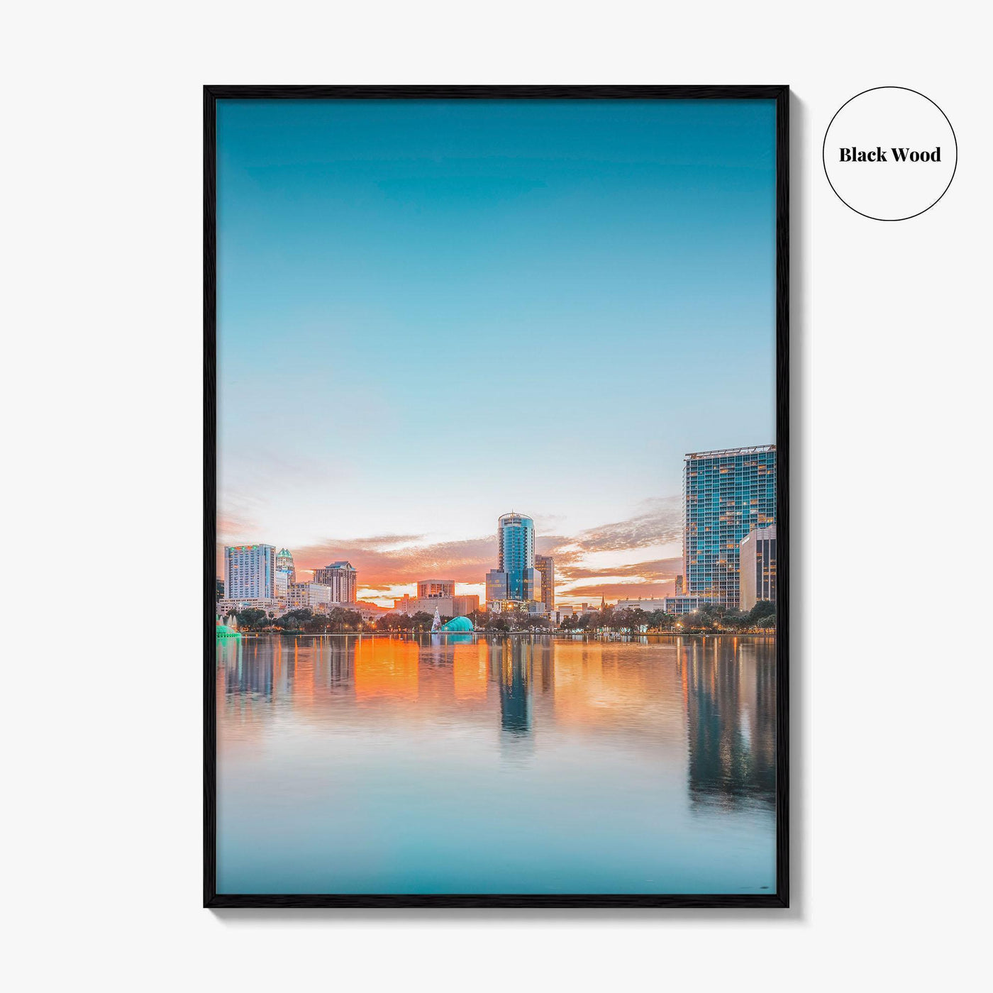 Orlando Skyline Fine Art Photo Print, Downtown Lake Eola Park, Florida USA Poster