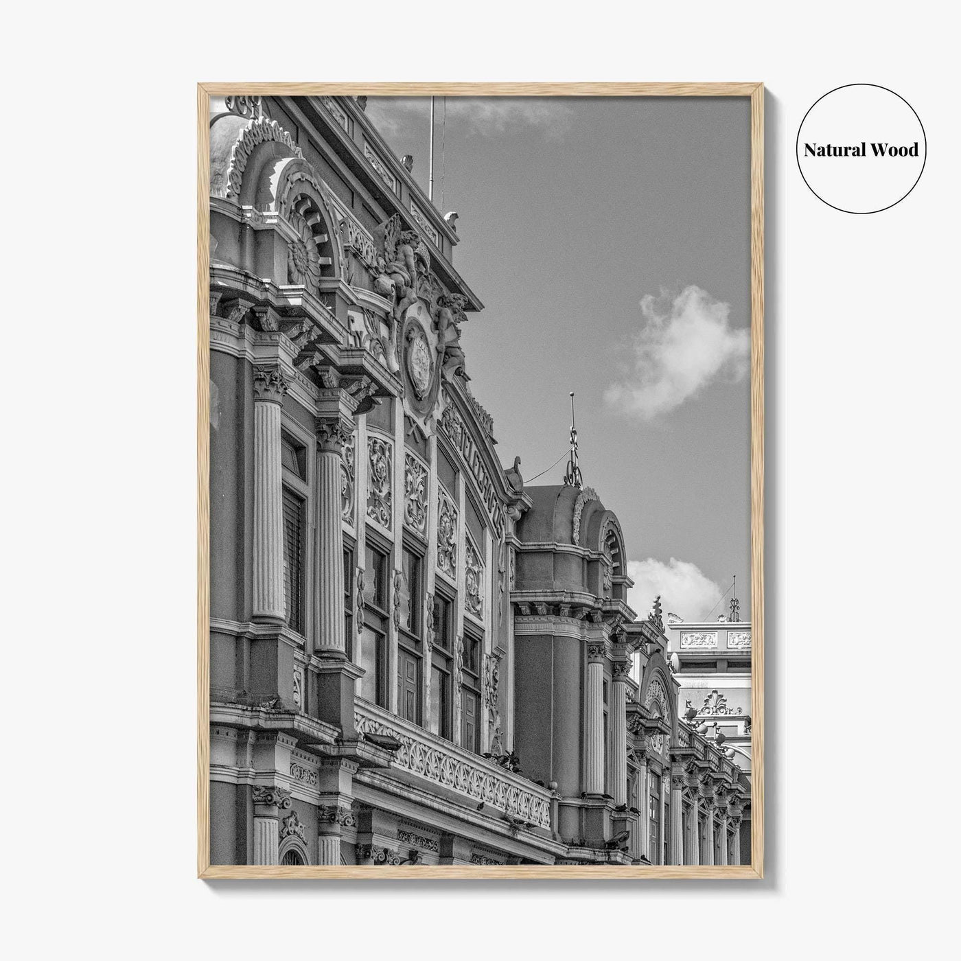 San Jose Costa Rica Black and White Fine Art Photo Print, City Wall Poster