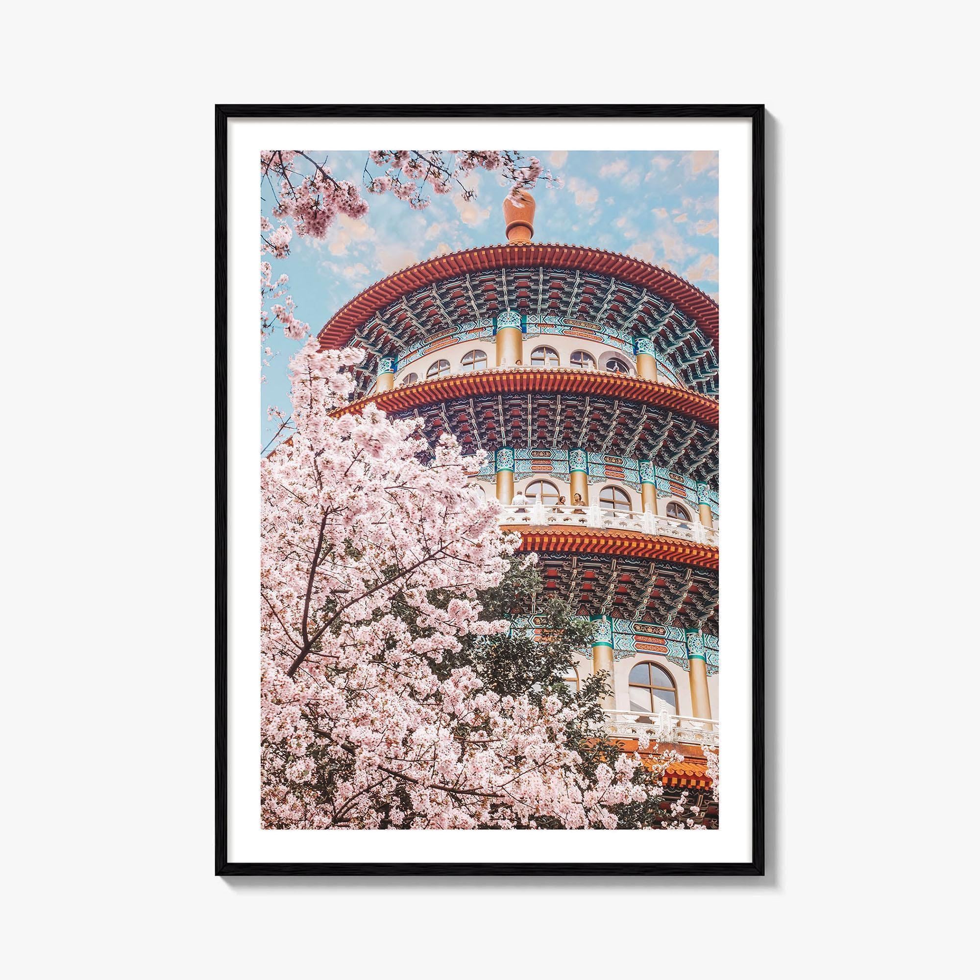 Taipei Fine Art Photo Print, Sakura Garden, Cherry Blossom, Taiwan, Wall Decor Poster