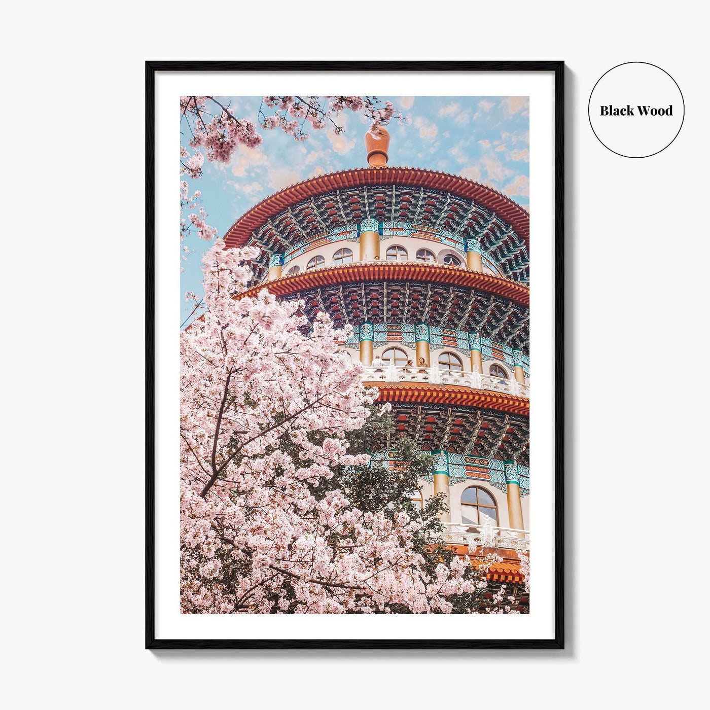 Taipei Fine Art Photo Print, Sakura Garden, Cherry Blossom, Taiwan, Wall Decor Poster