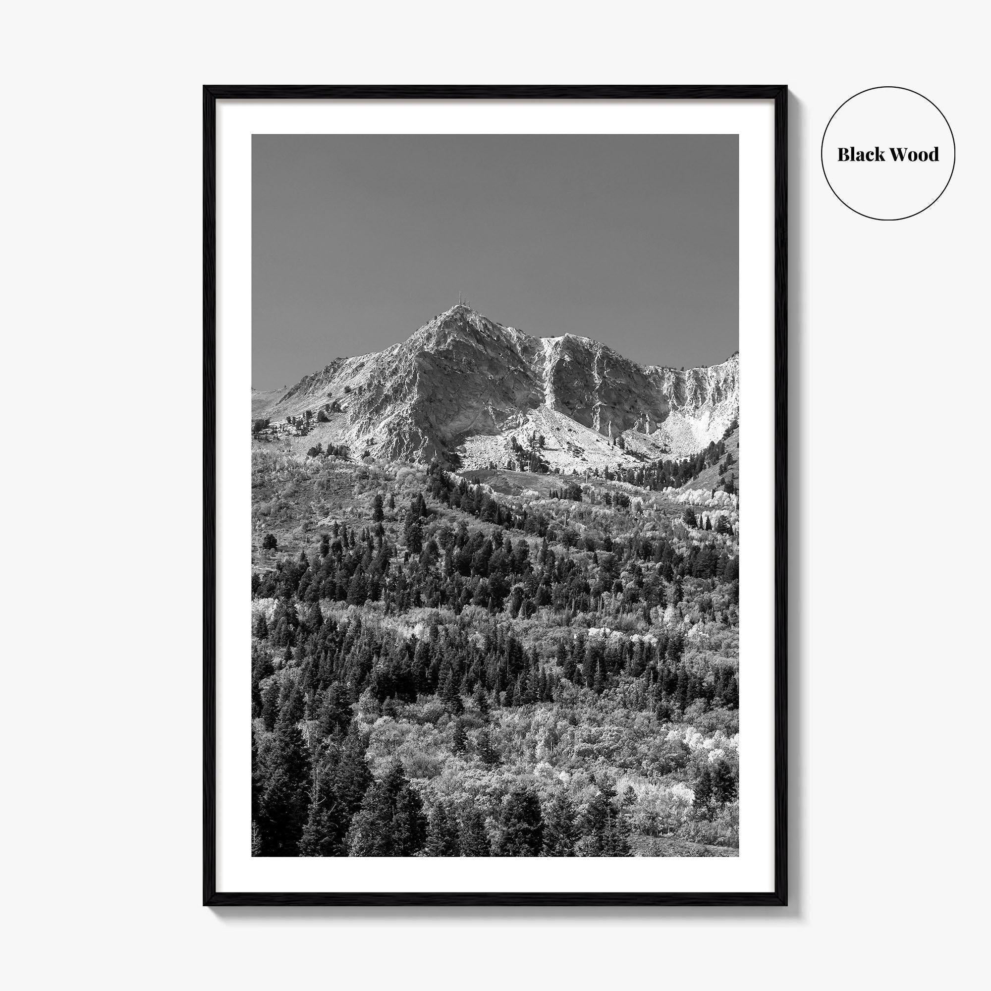 Utah Black and White Fine Art Photo Print, Snowbasin Panorama, Wasatch Range, Ogden Poster