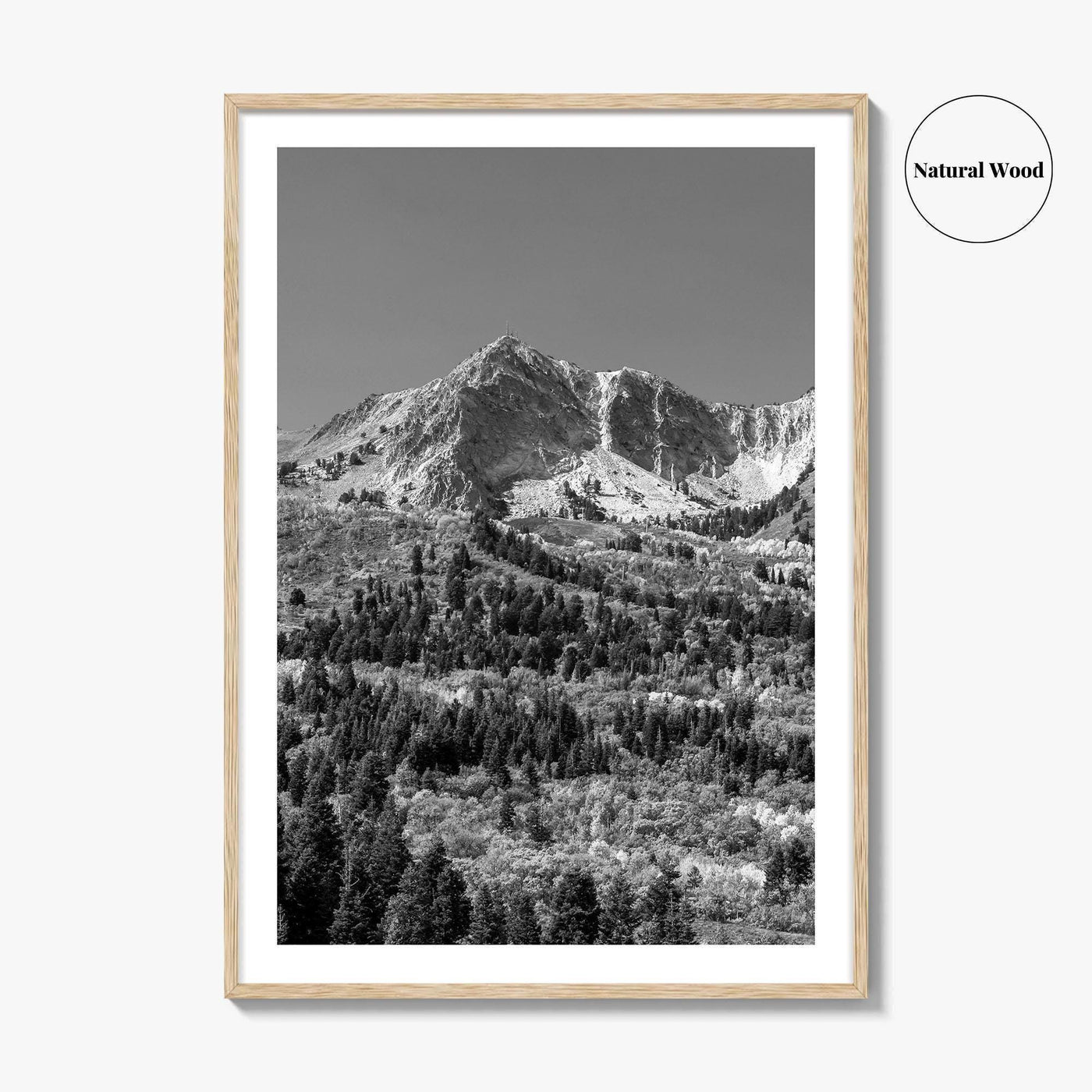 Utah Black and White Fine Art Photo Print, Snowbasin Panorama, Wasatch Range, Ogden Poster
