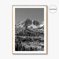 Utah Black and White Fine Art Photo Print, Snowbasin Panorama, Wasatch Range, Ogden Poster