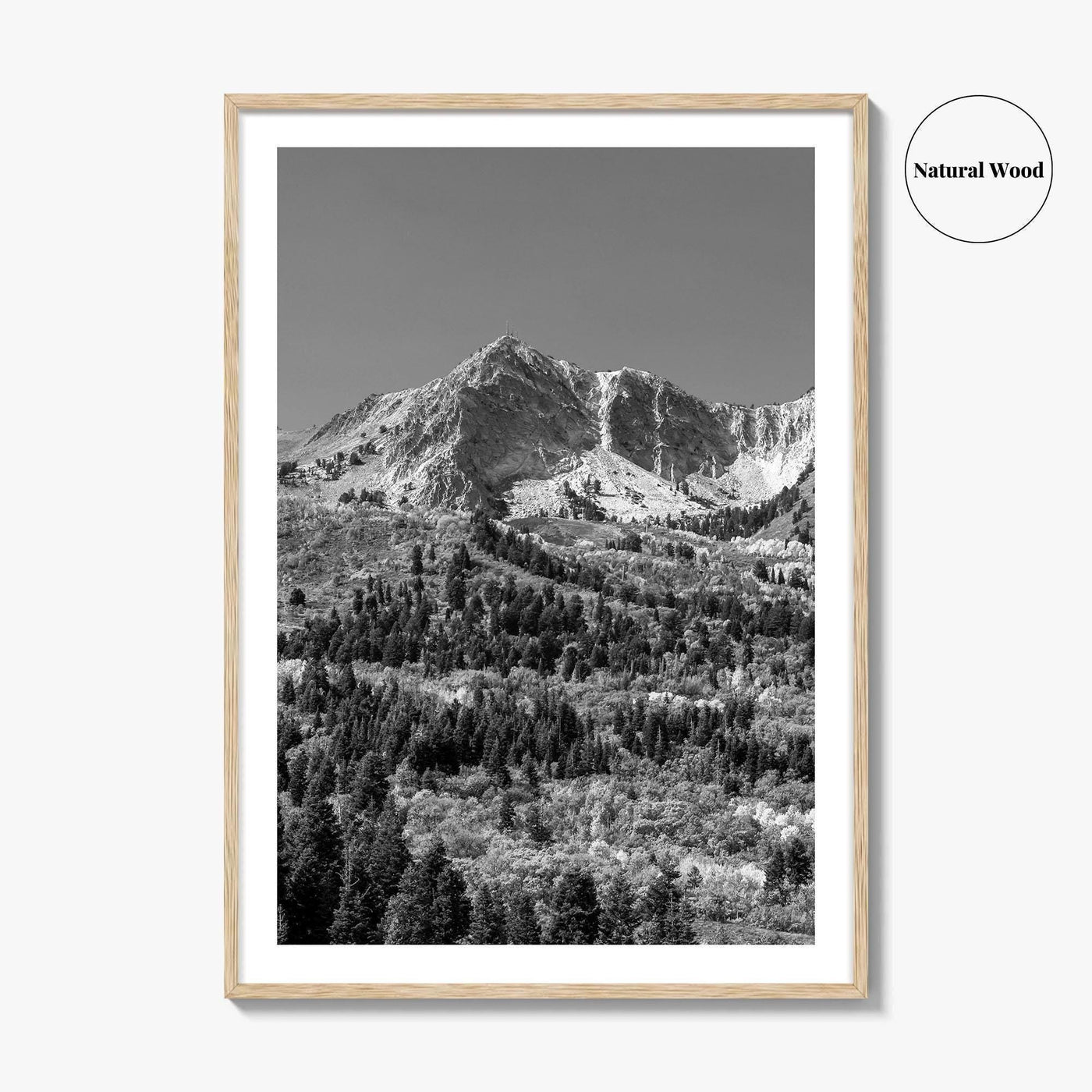 Utah Black and White Fine Art Photo Print, Snowbasin Panorama, Wasatch Range, Ogden Poster