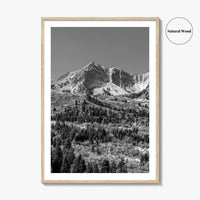 Utah Black and White Fine Art Photo Print, Snowbasin Panorama, Wasatch Range, Ogden Poster