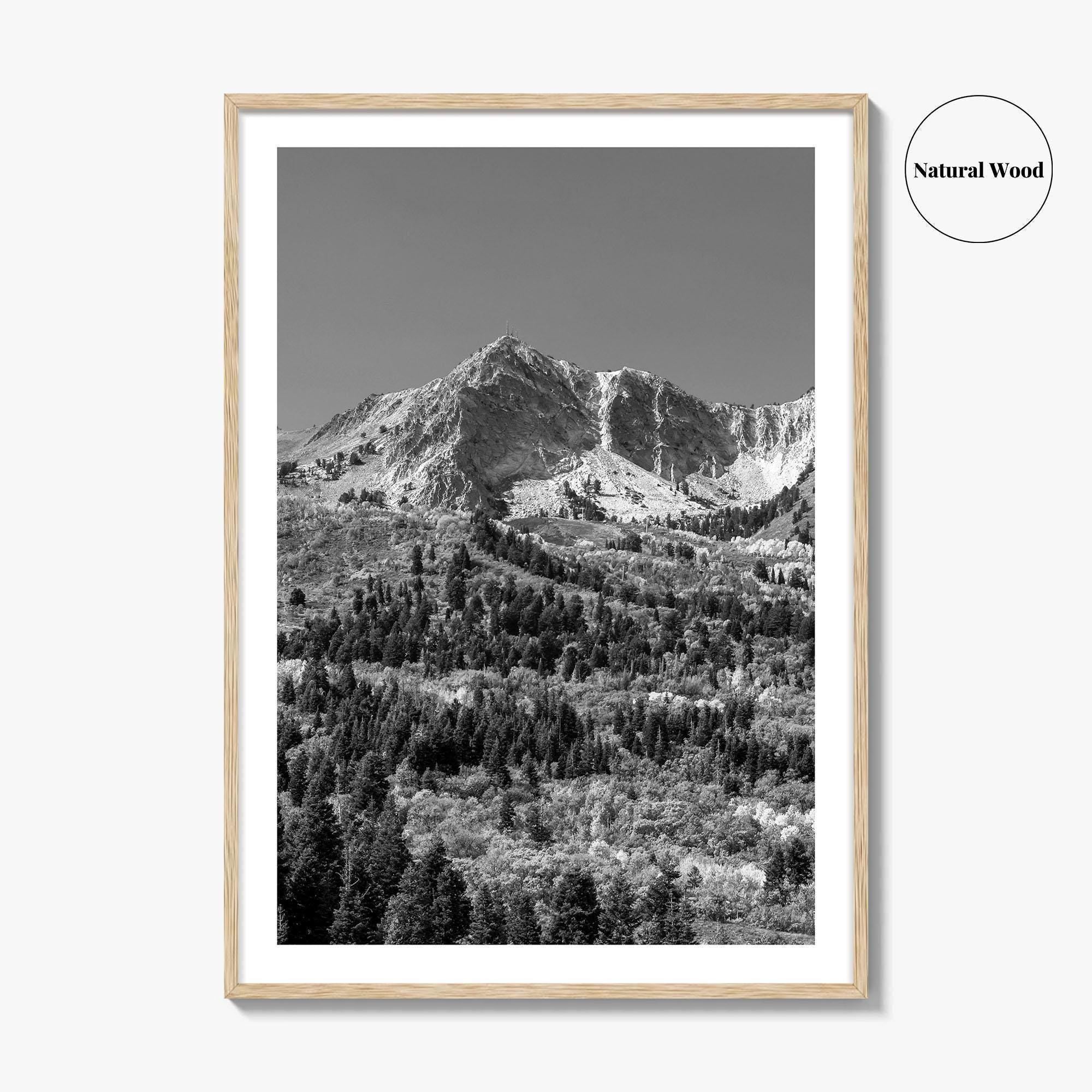 Utah Black and White Fine Art Photo Print, Snowbasin Panorama, Wasatch Range, Ogden Poster