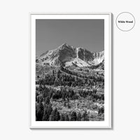 Utah Black and White Fine Art Photo Print, Snowbasin Panorama, Wasatch Range, Ogden Poster