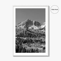 Utah Black and White Fine Art Photo Print, Snowbasin Panorama, Wasatch Range, Ogden Poster