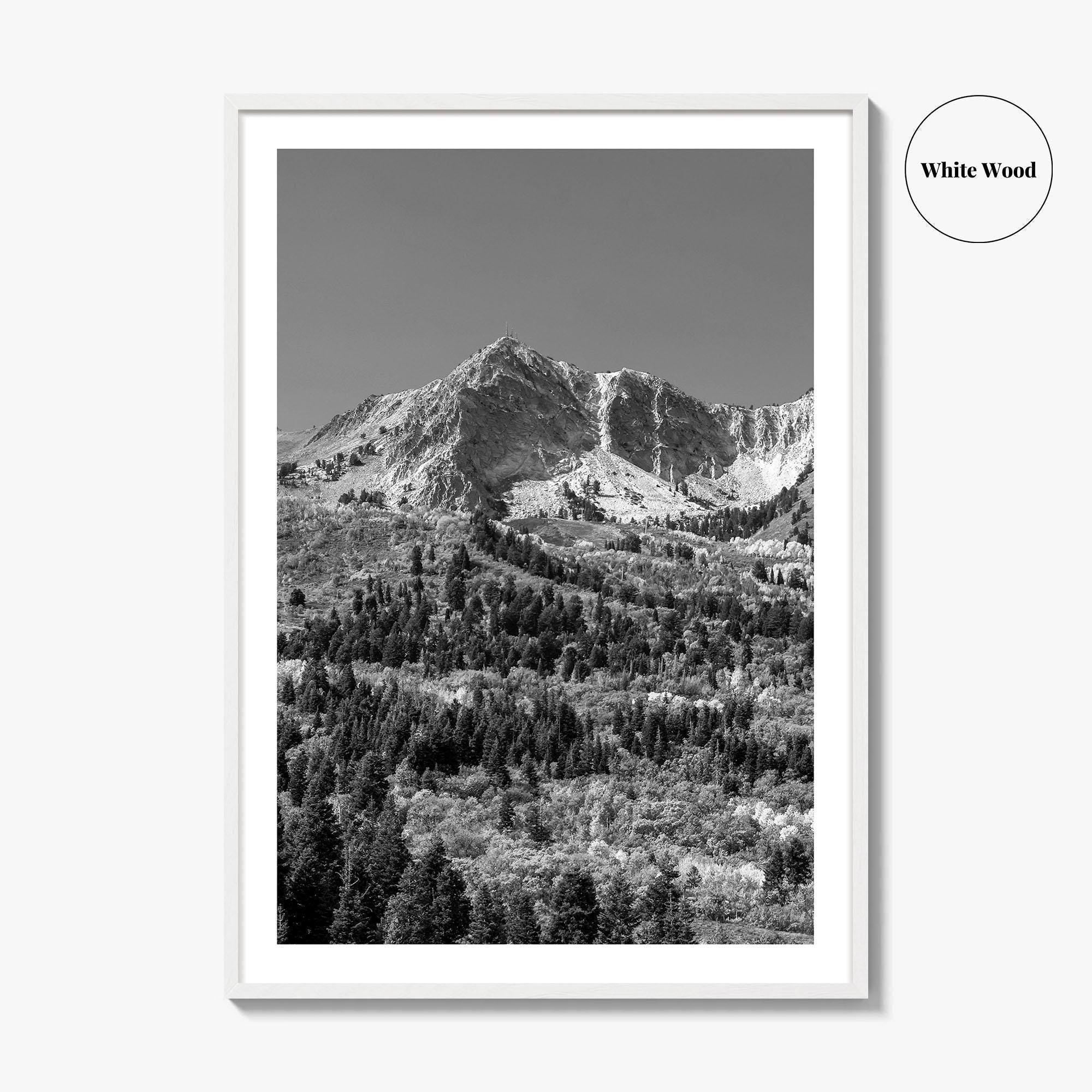 Utah Black and White Fine Art Photo Print, Snowbasin Panorama, Wasatch Range, Ogden Poster