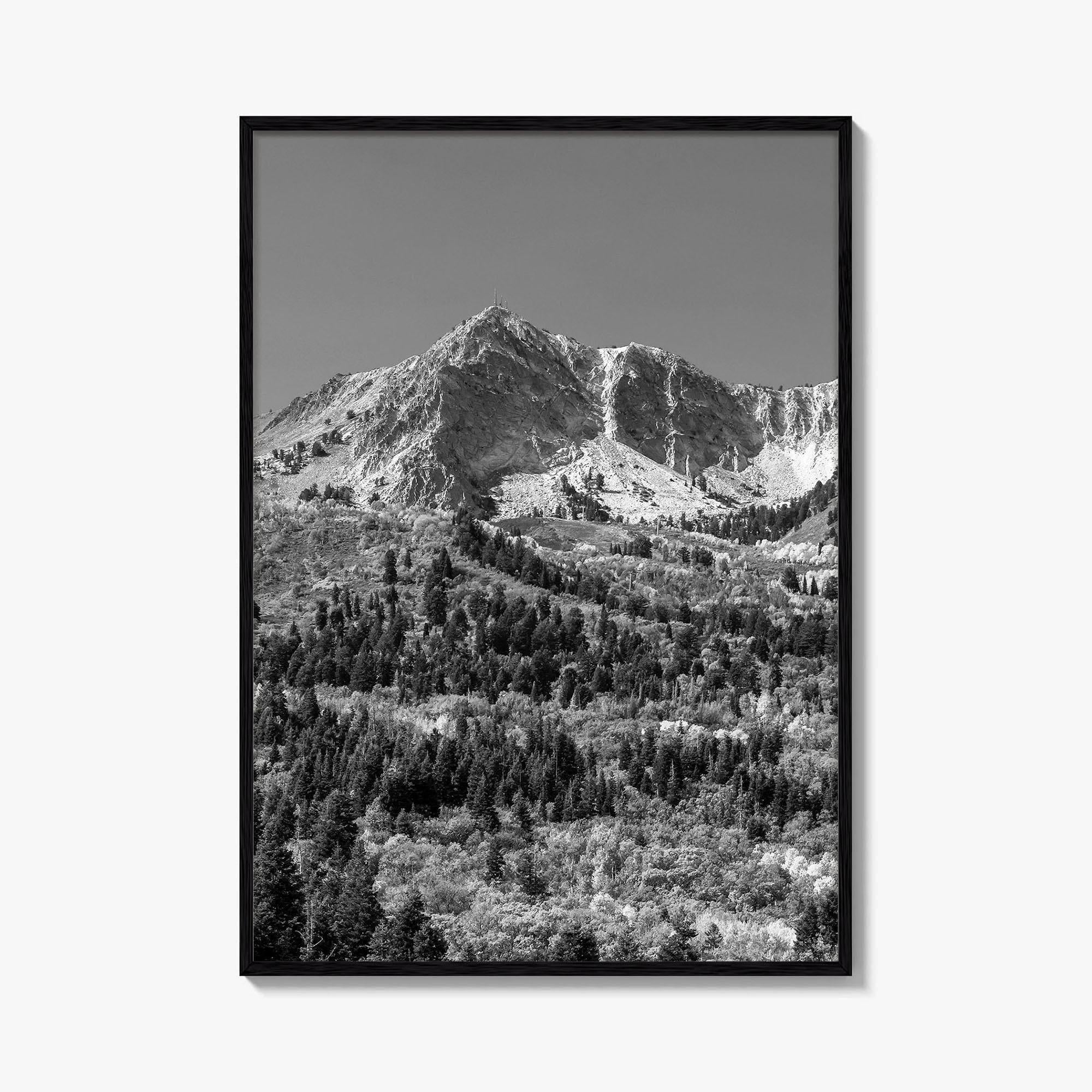 Utah Black and White Fine Art Photo Print, Snowbasin Panorama, Wasatch Range, Ogden Poster