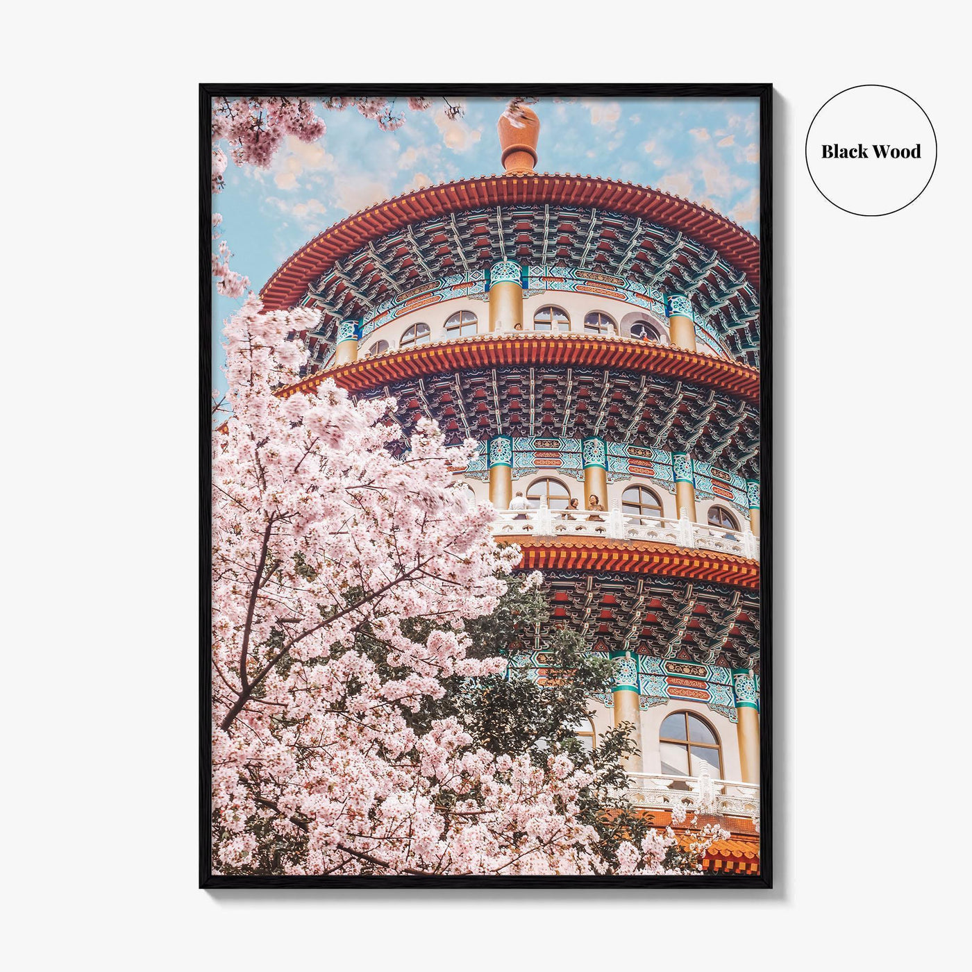 Taipei Fine Art Photo Print, Sakura Garden, Cherry Blossom, Taiwan, Wall Decor Poster