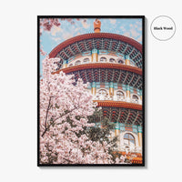 Taipei Fine Art Photo Print, Sakura Garden, Cherry Blossom, Taiwan, Wall Decor Poster