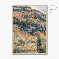 Vail Fine Art Photo Print, Colorado USA, Rocky Mountains, Aspen Trees, Fall Foliage Poster