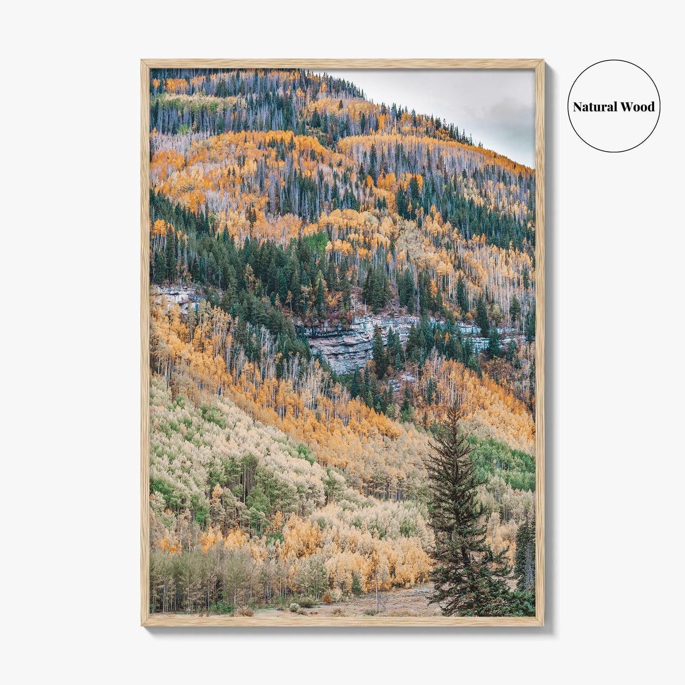 Vail Fine Art Photo Print, Colorado USA, Rocky Mountains, Aspen Trees, Fall Foliage Poster