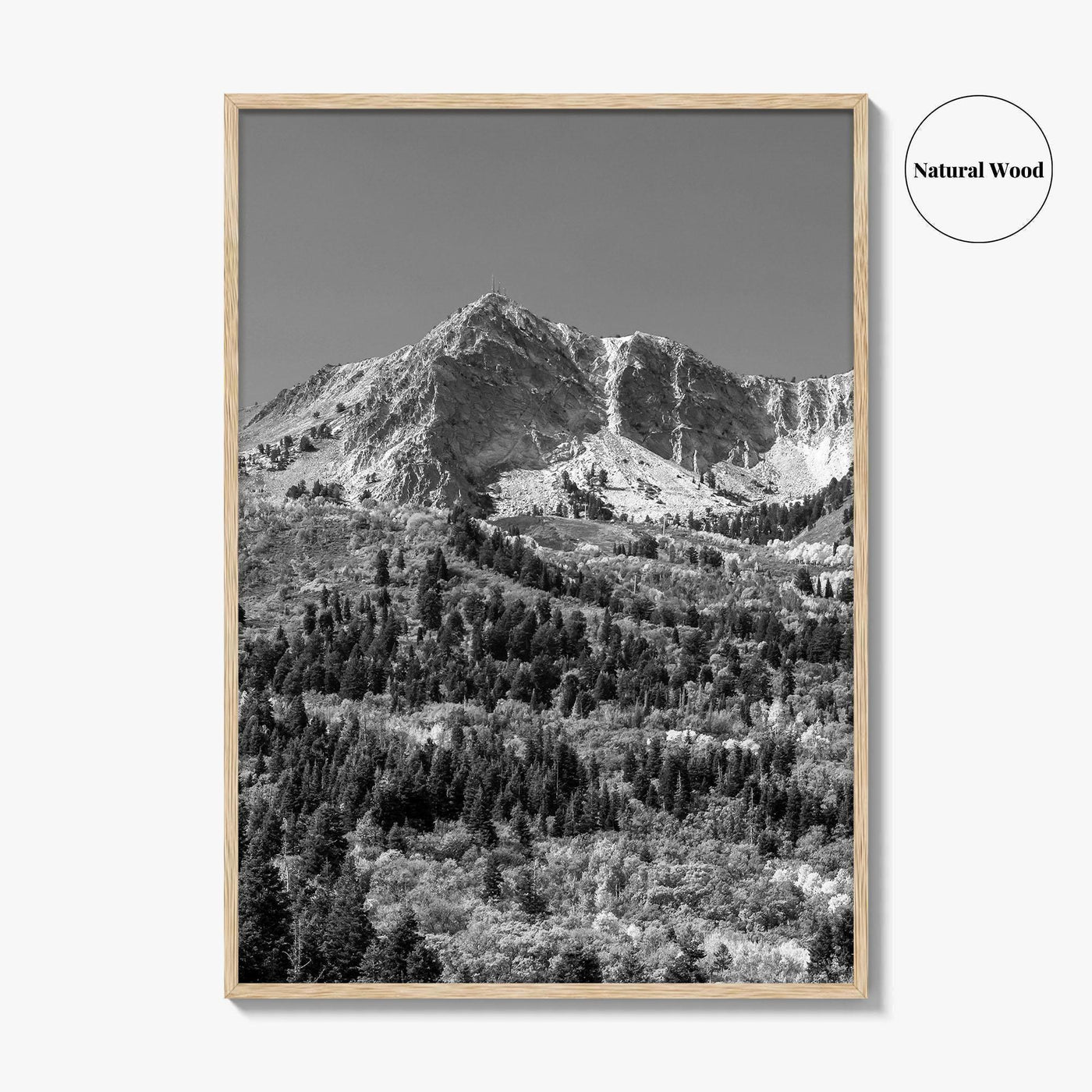Utah Black and White Fine Art Photo Print, Snowbasin Panorama, Wasatch Range, Ogden Poster