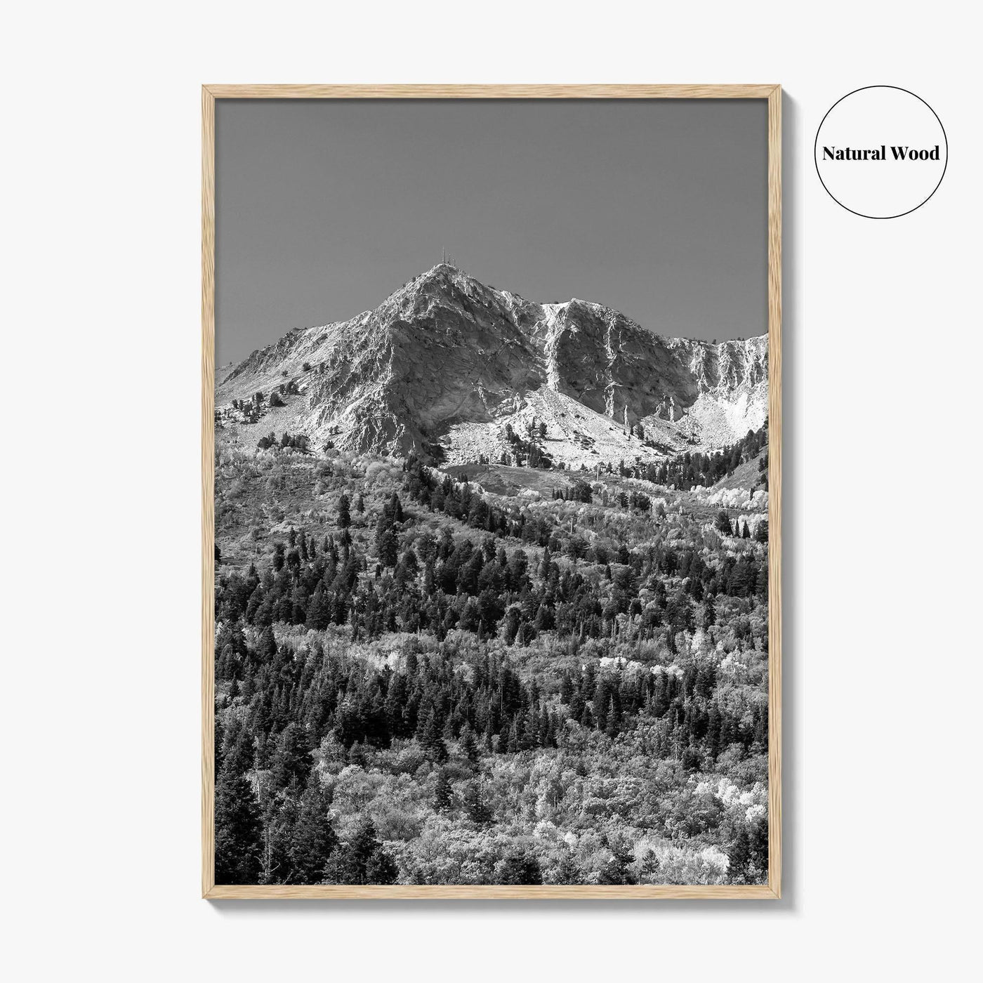Utah Black and White Fine Art Photo Print, Snowbasin Panorama, Wasatch Range, Ogden Poster