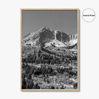 Utah Black and White Fine Art Photo Print, Snowbasin Panorama, Wasatch Range, Ogden Poster