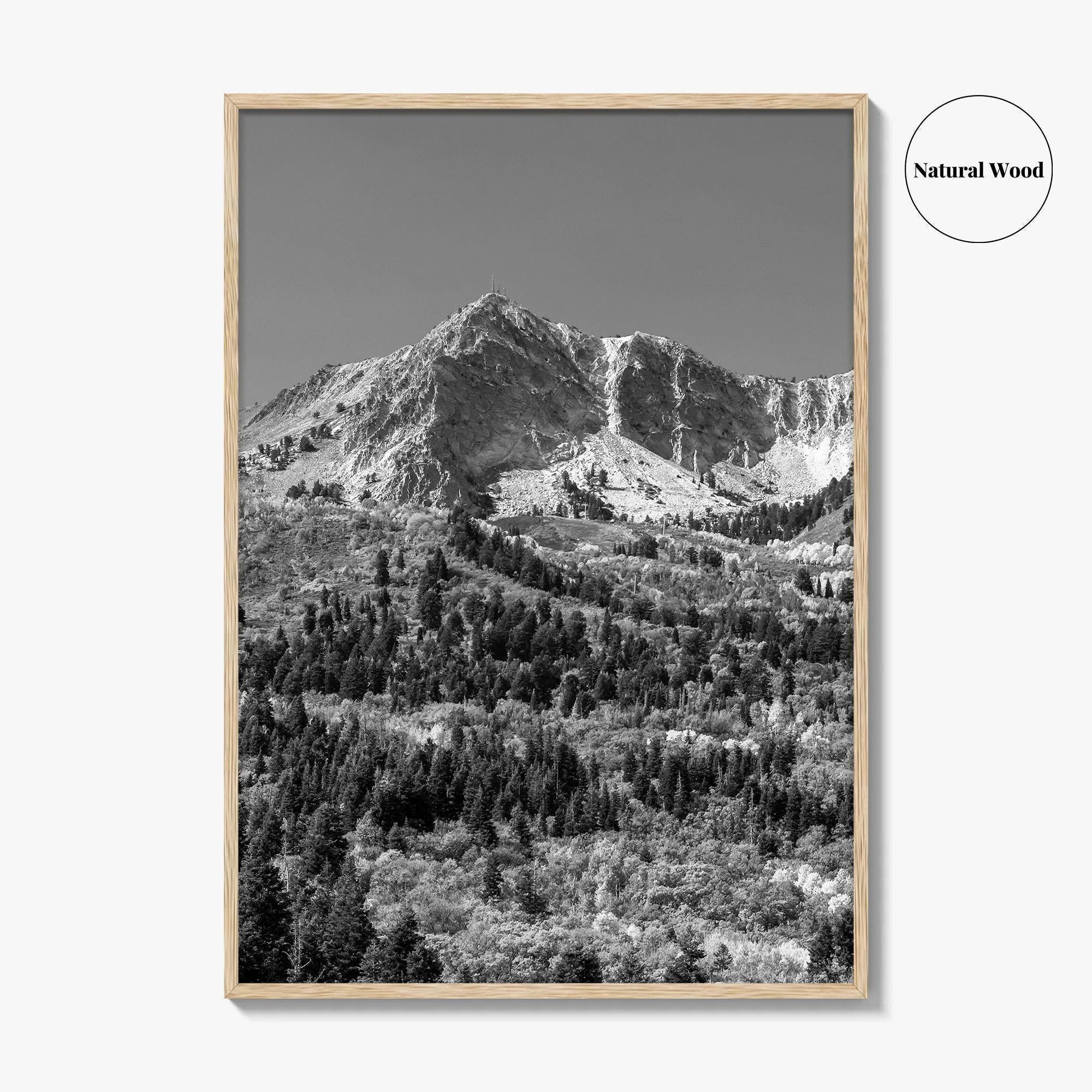 Utah Black and White Fine Art Photo Print, Snowbasin Panorama, Wasatch Range, Ogden Poster