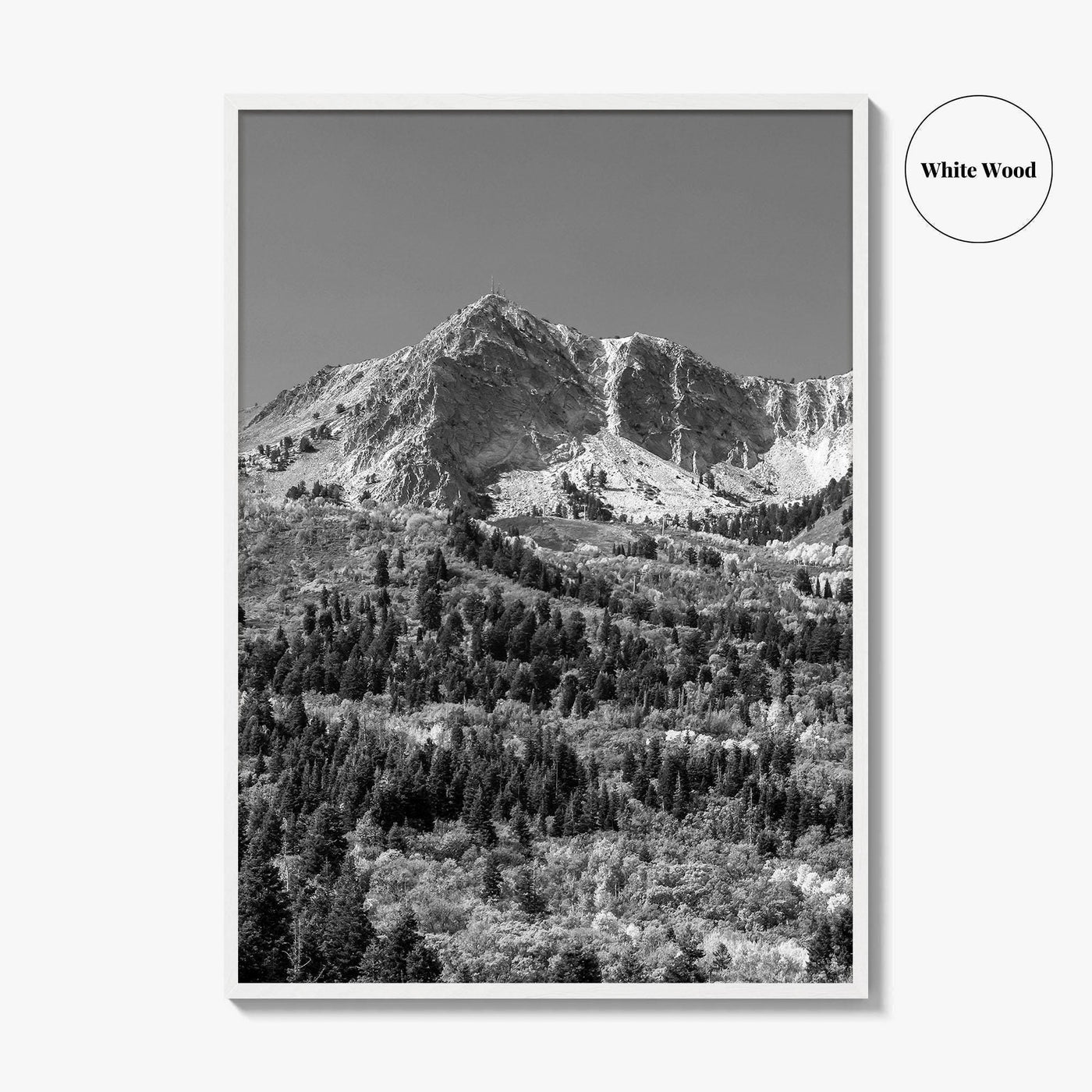 Utah Black and White Fine Art Photo Print, Snowbasin Panorama, Wasatch Range, Ogden Poster