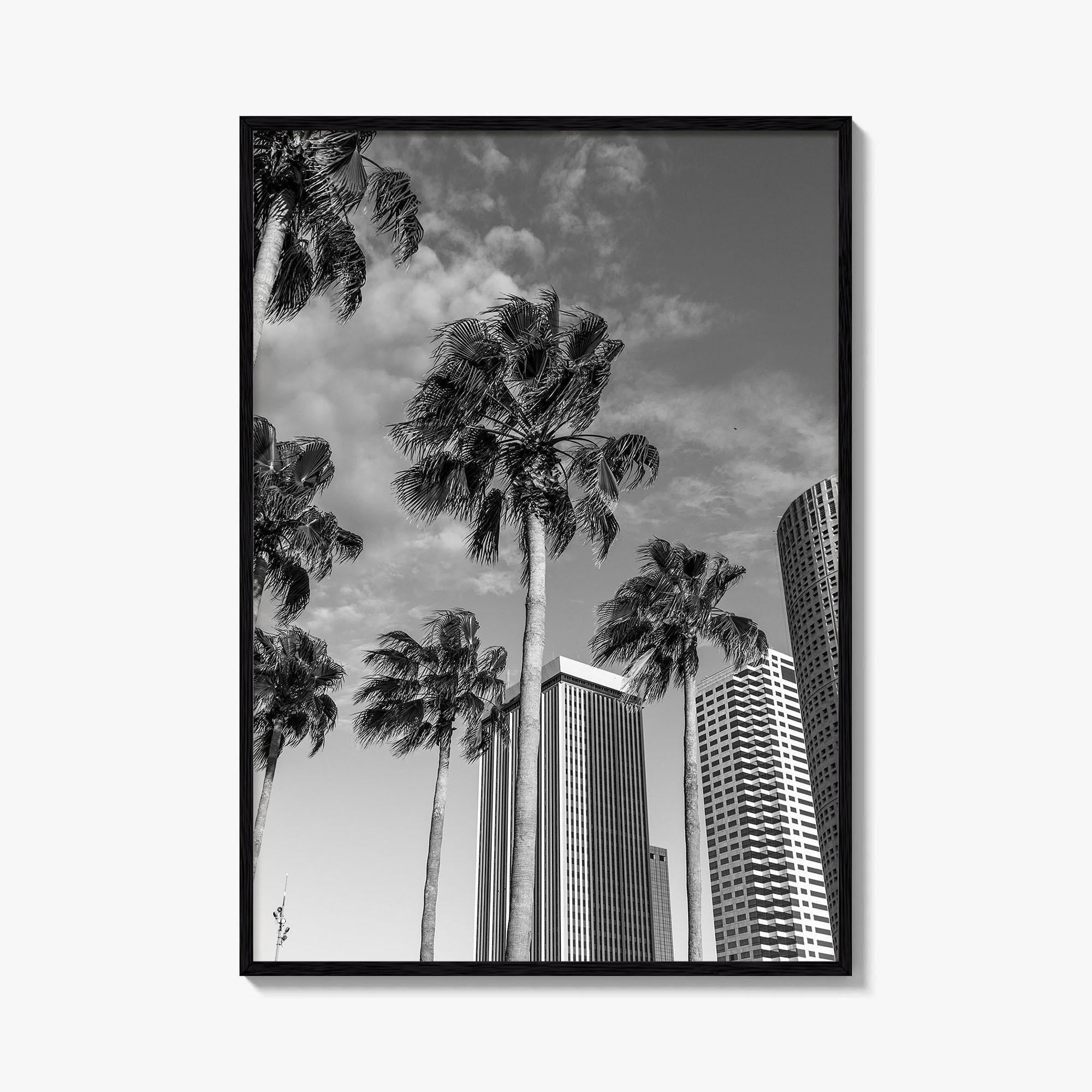 Tampa Skyline Black and White Fine Art Photo Print, Florida, USA, Poster