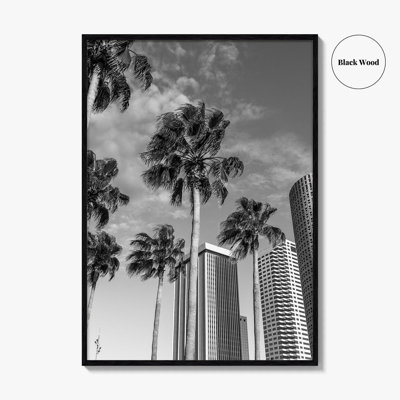 Tampa Skyline Black and White Fine Art Photo Print, Florida, USA, Poster