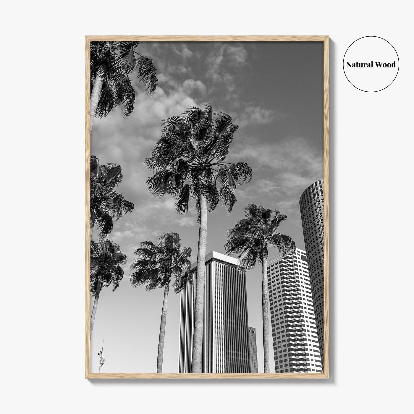 Tampa Skyline Black and White Fine Art Photo Print, Florida, USA, Poster