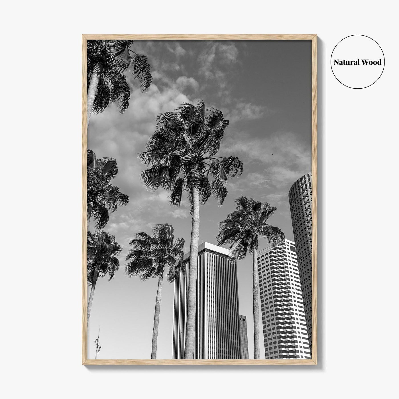 Tampa Skyline Black and White Fine Art Photo Print, Florida, USA, Poster