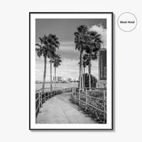 Clearwater Beach Black and White Fine Art Photo Print, Florida Palm Trees, USA Poster