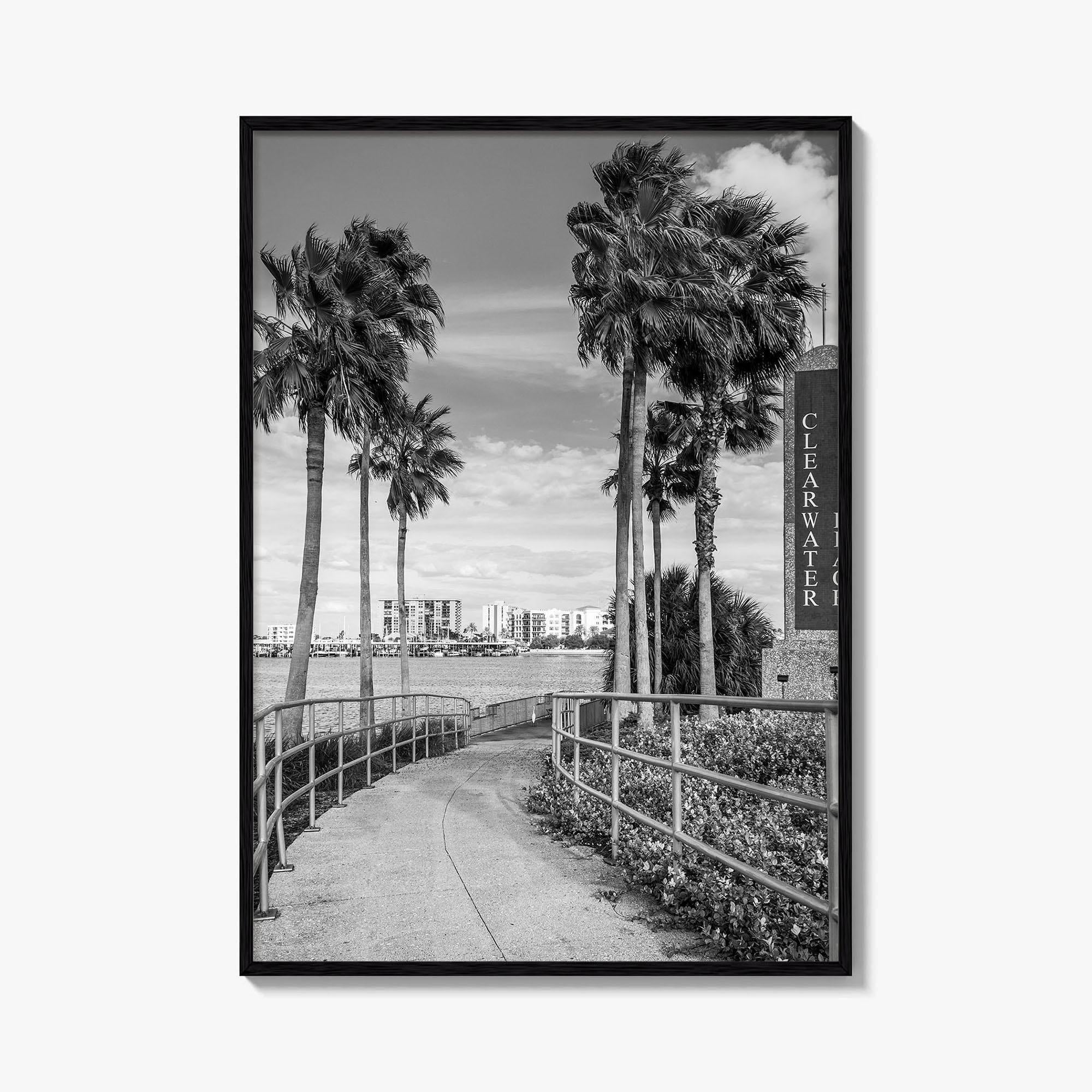 Clearwater Beach Black and White Fine Art Photo Print, Florida Palm Trees, USA Poster