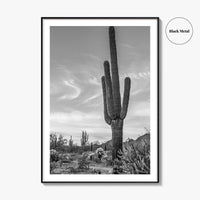 Arizona Black and White Fine Art Photo Print, Sonoran Desert Saguaro Cactus Tucson Poster
