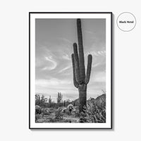 Arizona Black and White Fine Art Photo Print, Sonoran Desert Saguaro Cactus Tucson Poster